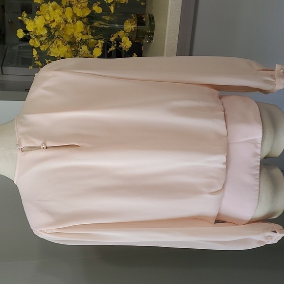 Liz Robers, vintage blouse. Size 12. Long sleeves, chiffon, lovely pearl buttons - Picture 7 of 12